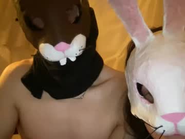 couple Chaturbate - Free Adult Webcams, Live Sex, Free Sex Chat, Exhibitionist & Pornstar Free Cams with easterhunny
